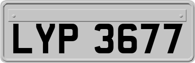 LYP3677