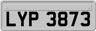 LYP3873
