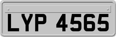 LYP4565