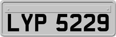 LYP5229