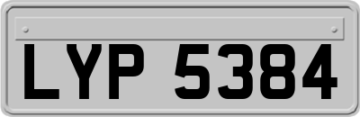 LYP5384