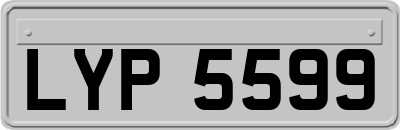 LYP5599