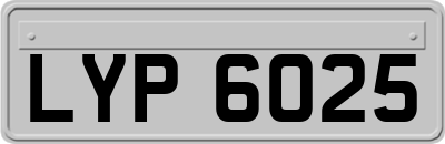 LYP6025