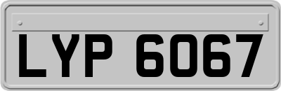 LYP6067