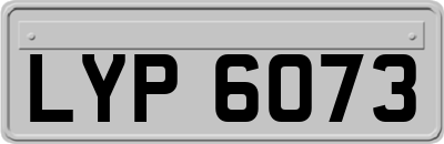 LYP6073