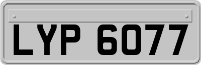 LYP6077