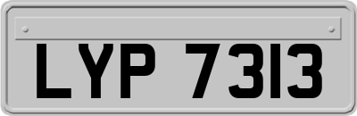 LYP7313