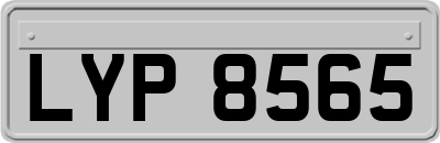 LYP8565