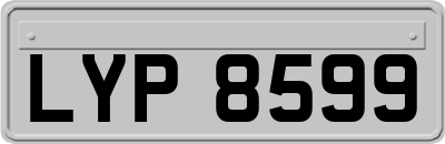 LYP8599