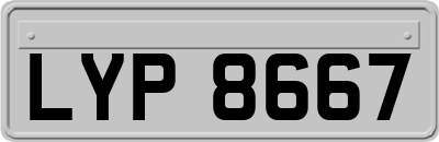 LYP8667