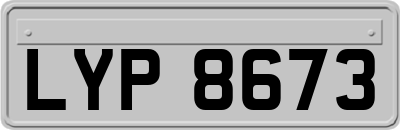LYP8673
