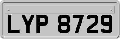 LYP8729