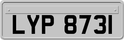 LYP8731