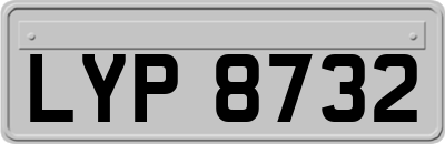 LYP8732