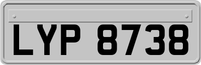 LYP8738