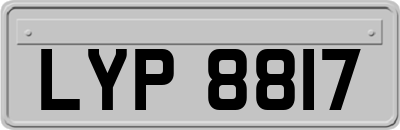 LYP8817