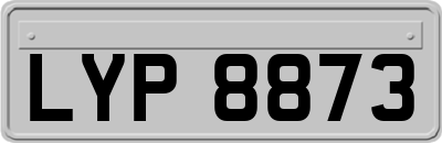 LYP8873