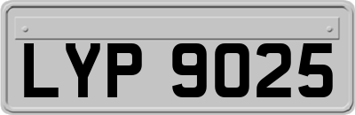 LYP9025