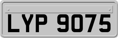 LYP9075