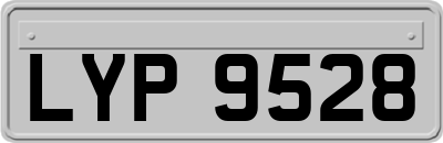 LYP9528