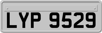 LYP9529