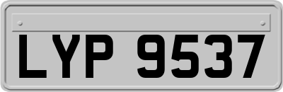 LYP9537