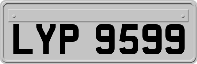 LYP9599
