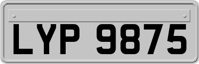 LYP9875