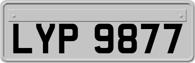 LYP9877