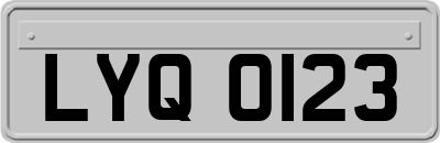 LYQ0123