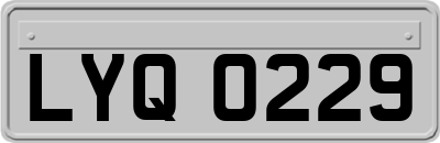 LYQ0229