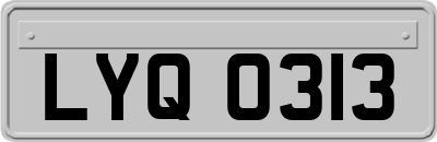 LYQ0313