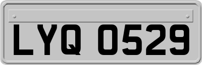 LYQ0529