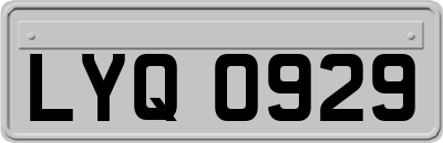 LYQ0929