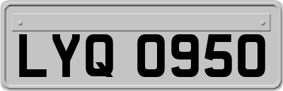 LYQ0950