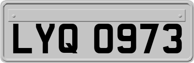 LYQ0973
