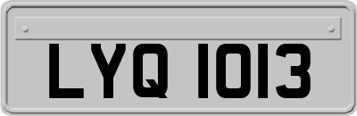 LYQ1013