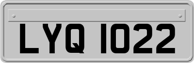 LYQ1022