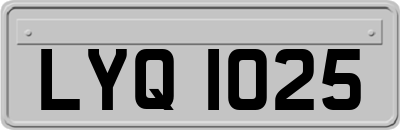 LYQ1025