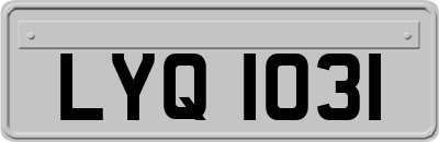 LYQ1031