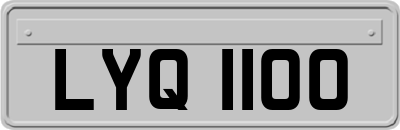 LYQ1100