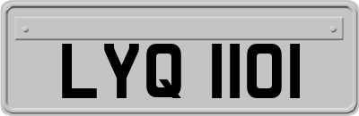 LYQ1101