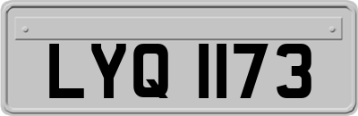 LYQ1173