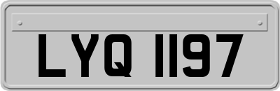 LYQ1197