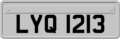 LYQ1213