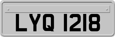 LYQ1218