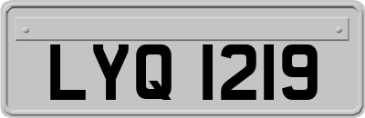 LYQ1219
