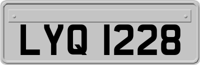 LYQ1228