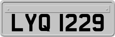LYQ1229