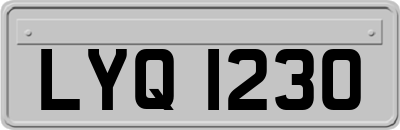 LYQ1230